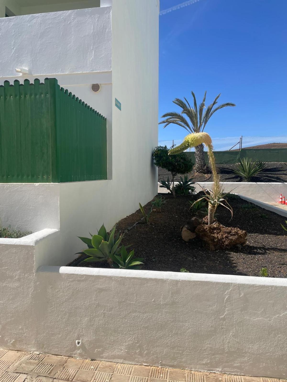 Fuertesun Dunas Beach Parque Holandes エクステリア 写真